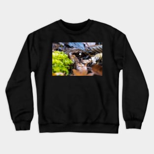 A small mushroom in the swamp. Crewneck Sweatshirt